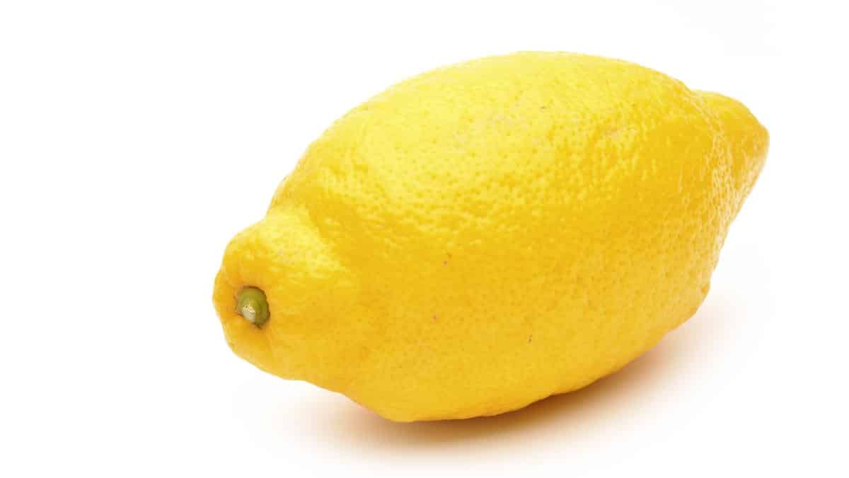 Lemon on white background