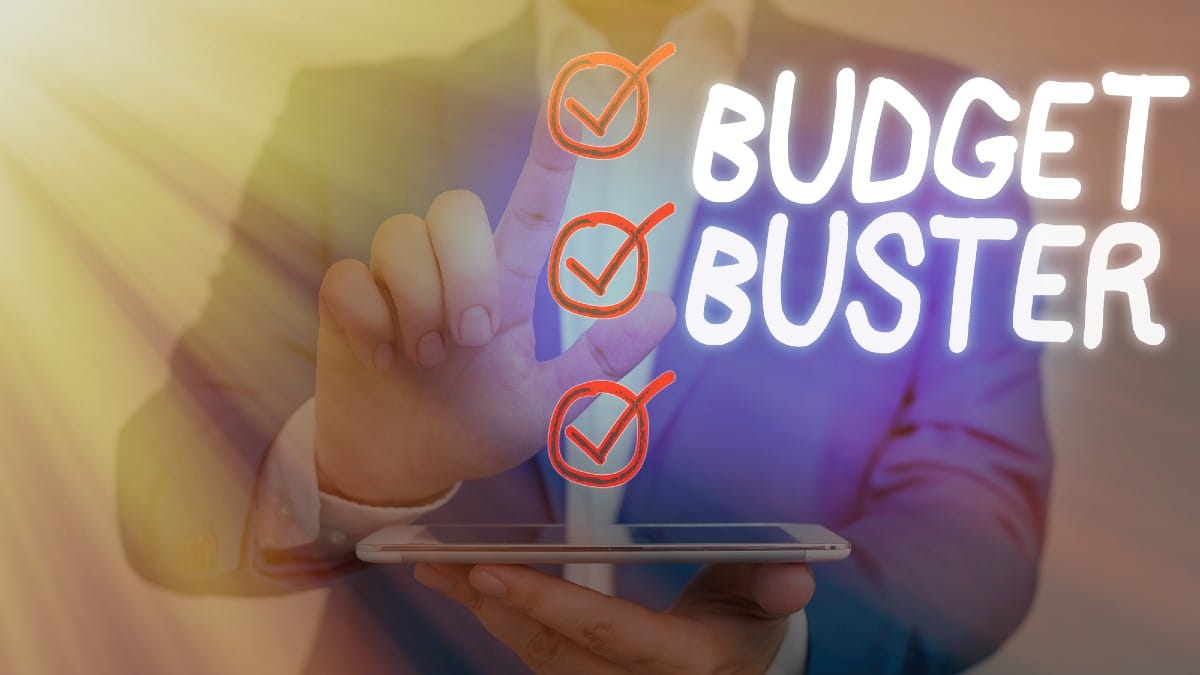 Word writing text Budget Buster. Business concept for Carefree 