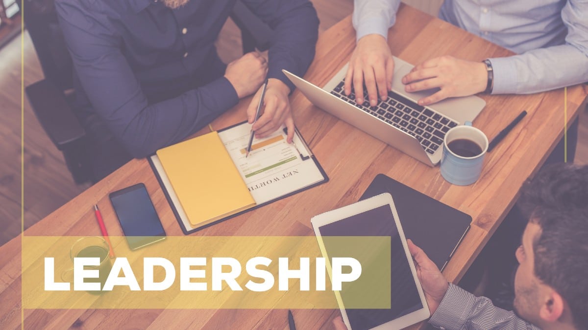 leadership roles in established companies