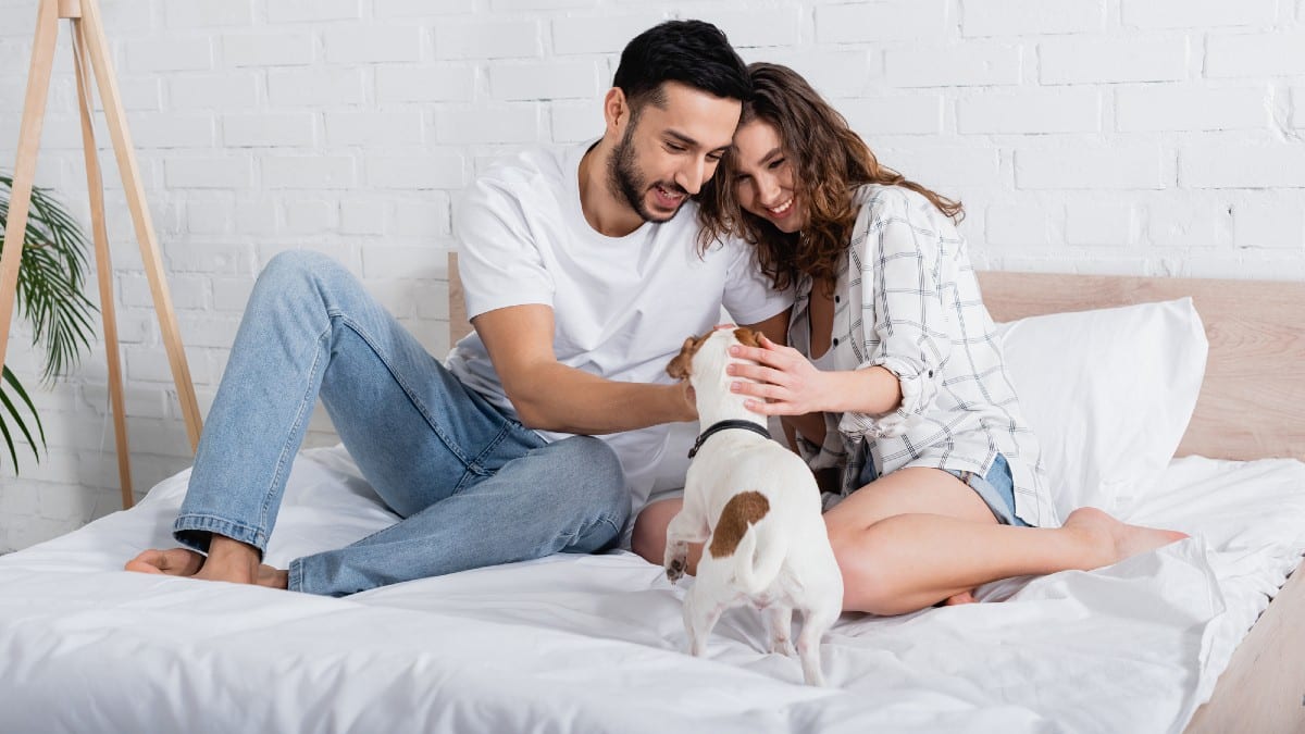 Happy interracial couple cuddling jack russell terrier in bed