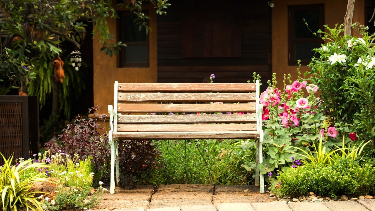 Wood bench in garden 