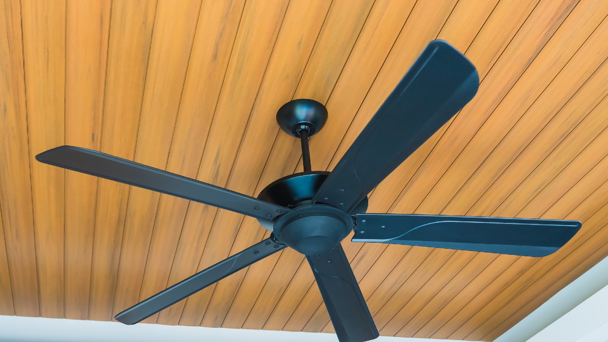 Redirect Ceiling Fans